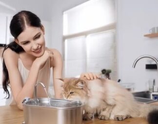 Votre chat boit plus facilement